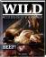 Ralf Frenzel: BEEF! WILD