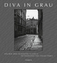 Diva in Grau | Häuser und Gesichter in H