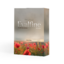 Stella Rapp: Evalfine | Lost in time | S