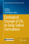 Auli Niemi: Geological Storage of CO2 in