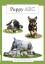 neues Buch – Salme Mujunen – Puppy ABC / Salme Mujunen (u. a.) / Taschenbuch / Englisch / 2020 / Books on Demand GmbH / EAN 9789528024361 – Bild 1