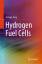 Shengjie Peng: Hydrogen Fuel Cells