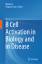 Yingyue Zeng: B Cell Activation in Biolo Yingyue Zeng: B Cell Activation in Biolo