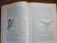 antiquarisches Buch – Dr. H. K – Lehrbuch der Entwicklungsgeschichte des Menschen mit 694 Abbildungen, davon 100 farbig – Bild 5