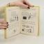 gebrauchtes Buch – Jeff Kinney – Gregs Tagebuch 8. Echt übel! – Bild 4