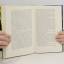 gebrauchtes Buch – Susanne Fröhlich – Der Tag, an dem Vater das Baby fallen ließ – Bild 4