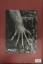 gebrauchtes Buch – Salgado, Lélia Wanick – Sebastião Salgado. Genesis – Bild 5