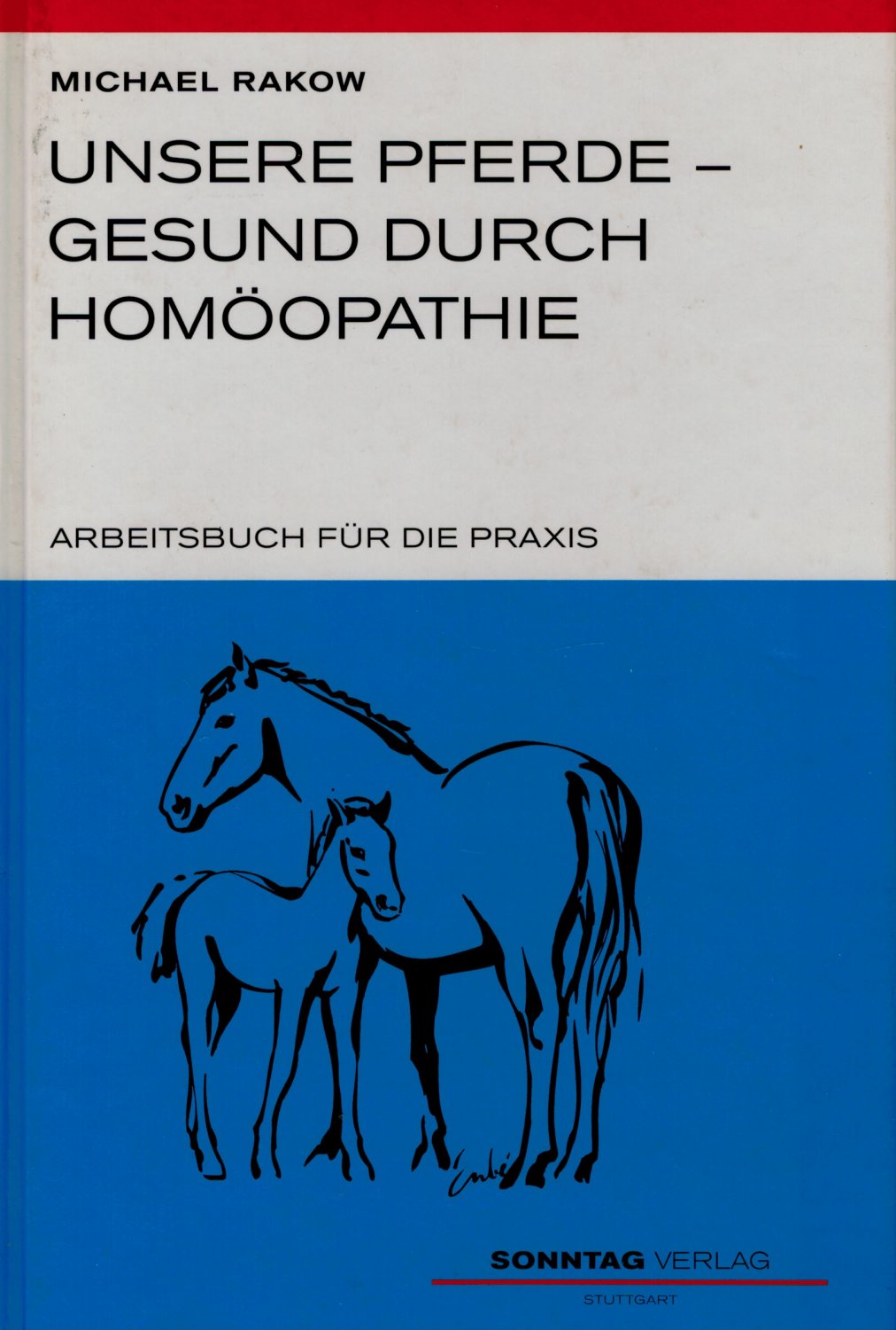 „Michael Rakow“ – Bücher Erstausgabe kaufen