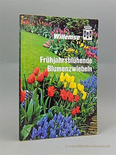 Fruhjahrsbluhende Blumenzwiebeln Winterberg H Buch Antiquarisch Kaufen A0253xwn01zzd