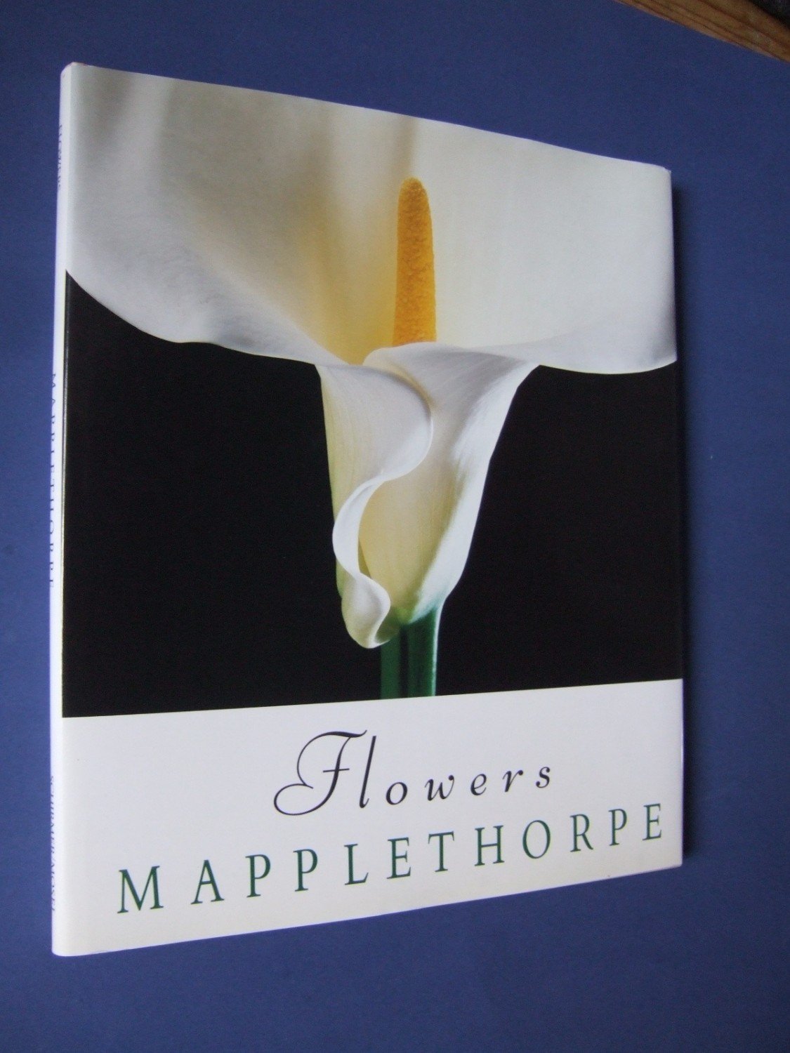 Flowers Robert Mapplethorpe Text Patti Smith Buch Gebraucht Kaufen A01kmth501zzv