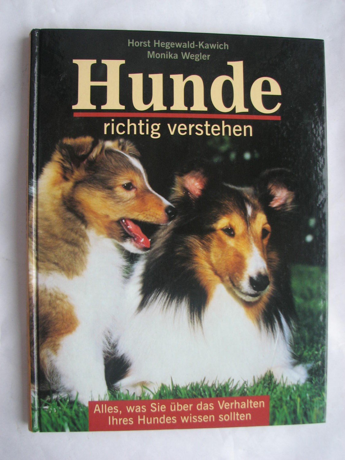80+ Hunde Verstehen Buch smilesinthenight
