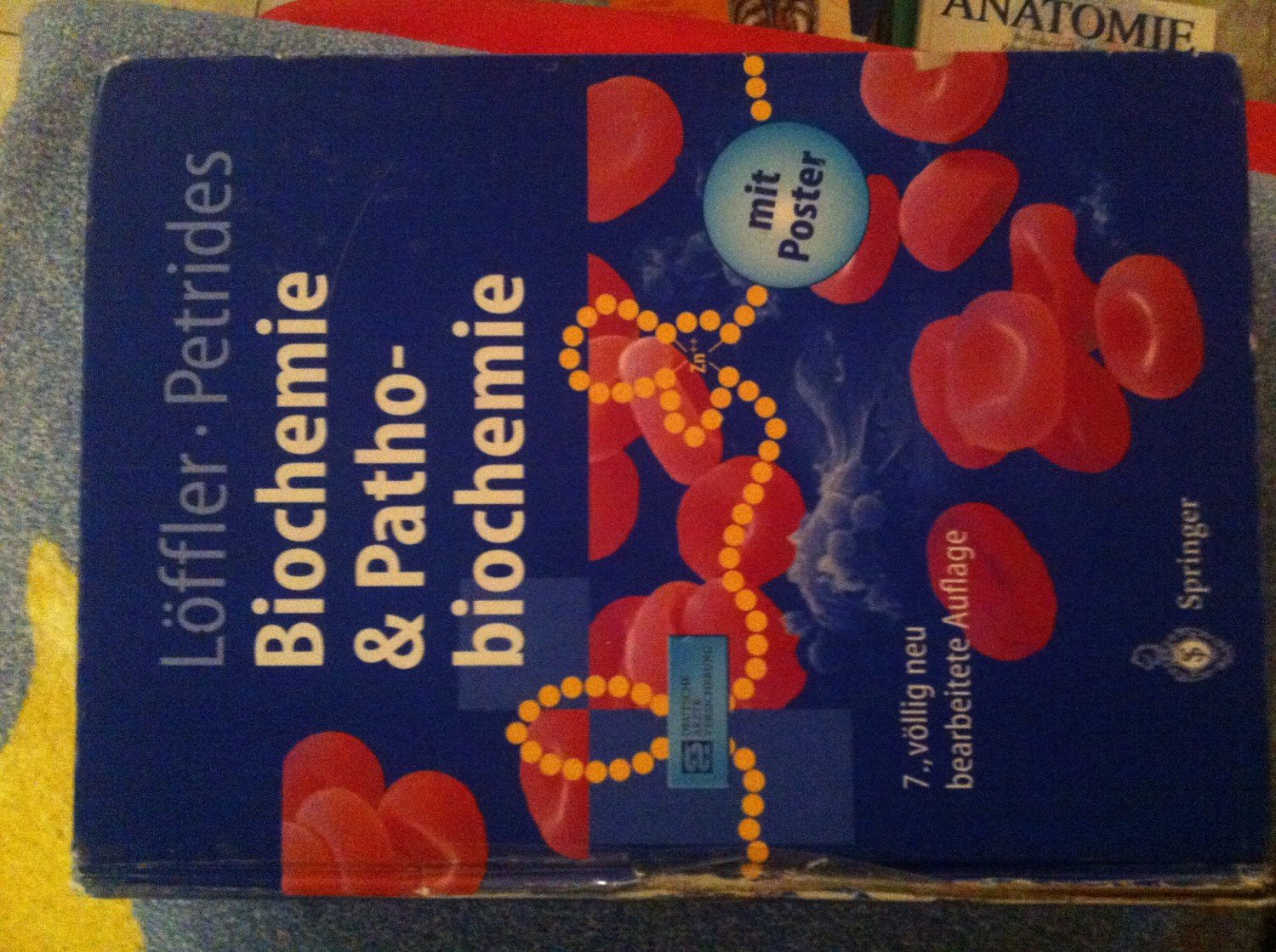 Biochemie Und Pathobiochemie Bücher Gebraucht - 