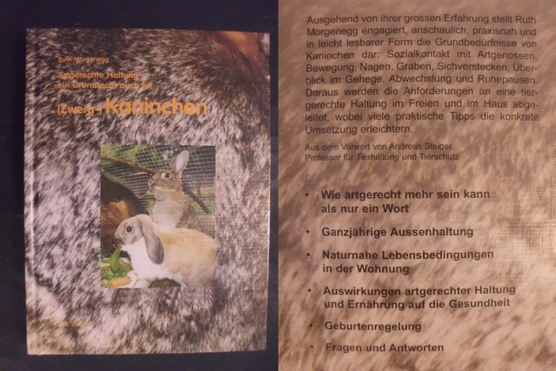 Artgerechte Haltung Ein Grundrecht Auch Fur Kaninchen Ruth