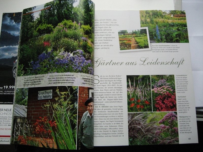 mein schoner garten 2013, mein schöner garten august 2013 charmante dauerblüher: sommer, Design ideen