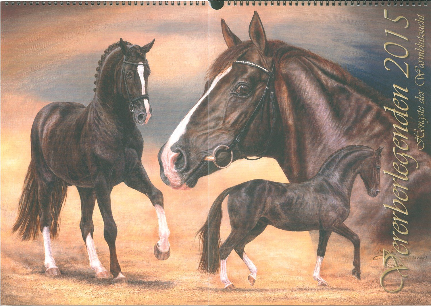 Equitaner Highlights Anstecknadel Pin Button Christina Boetzel Pferde • 03878 • 