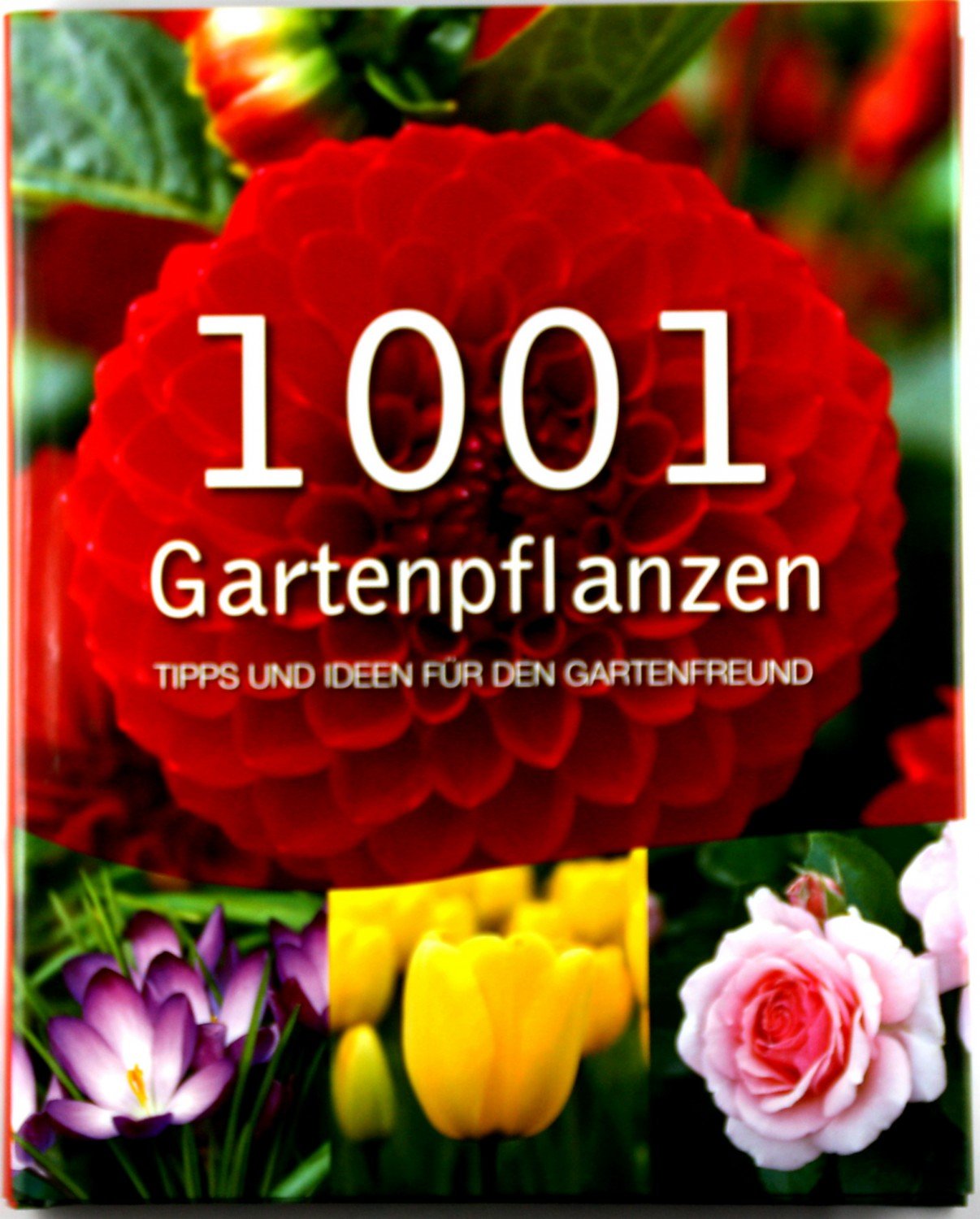 „1001 Gartenpflanzen“ – Bücher gebraucht, antiquarisch & neu kaufen