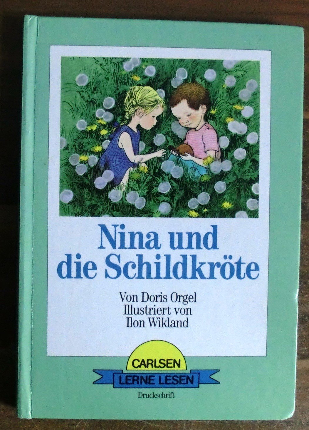 Nina Und Die Schildkrote Orgel Doris Buch Gebraucht Kaufen A02b4xhl01zz1