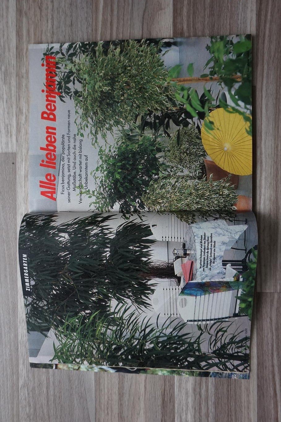 Mein Schoner Garten Ausgabe Oktober 1991 Buch Gebraucht