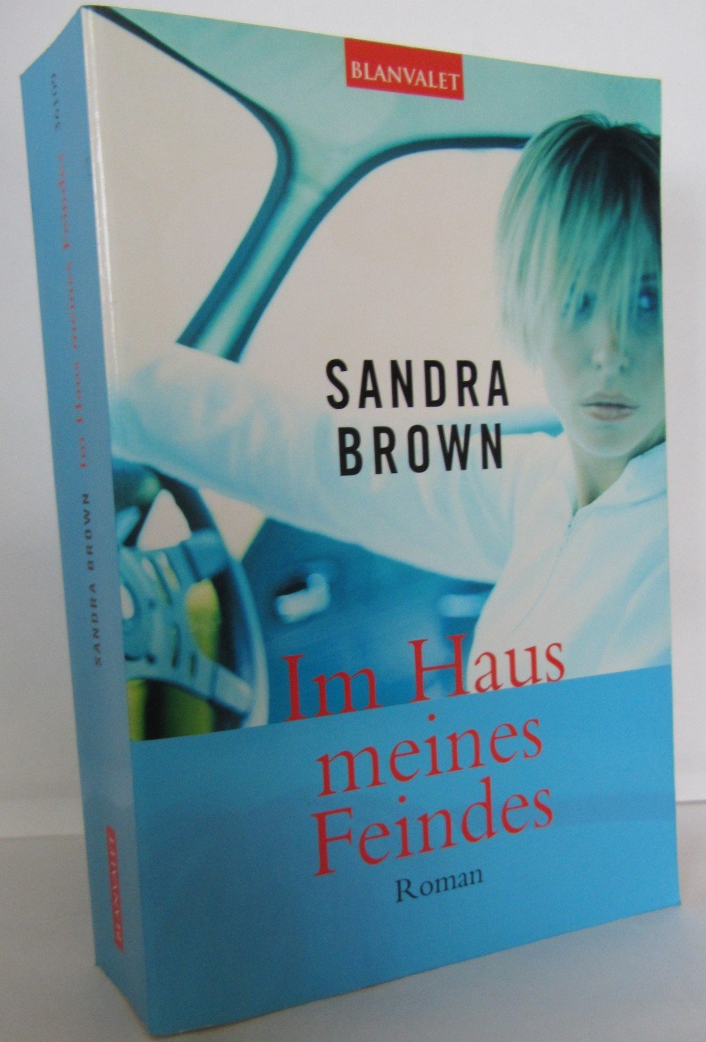 Im Haus Meines Feindes Brown Sandra Und Wulf Bergner Buch