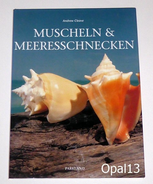 Muscheln Und Meeresschnecken Andrew Cleave Buch Gebraucht Kaufen A02gh5lu01zz6