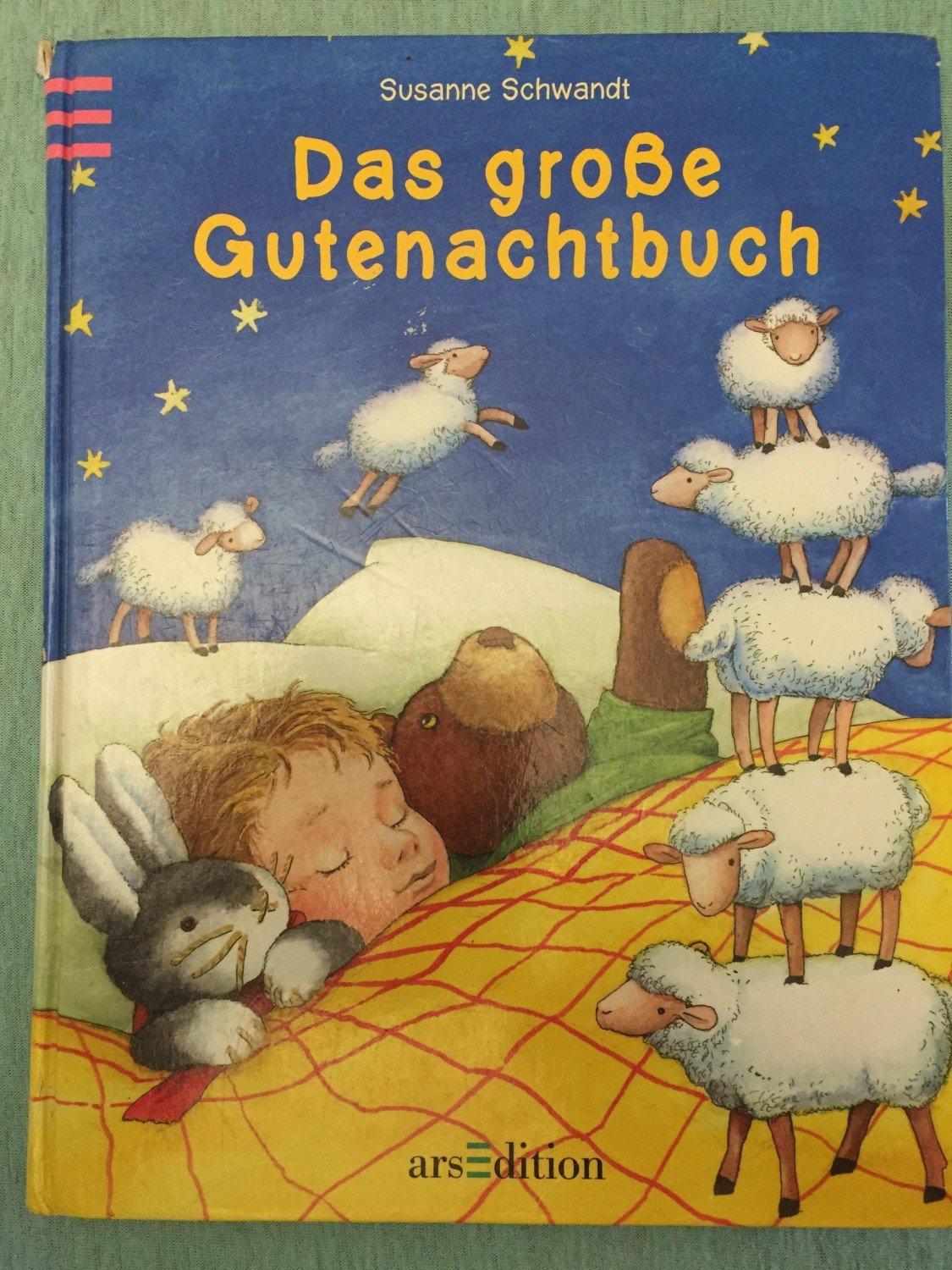 „Das grosse Gutenachtbuch“ (Susanne Schwandt) Buch