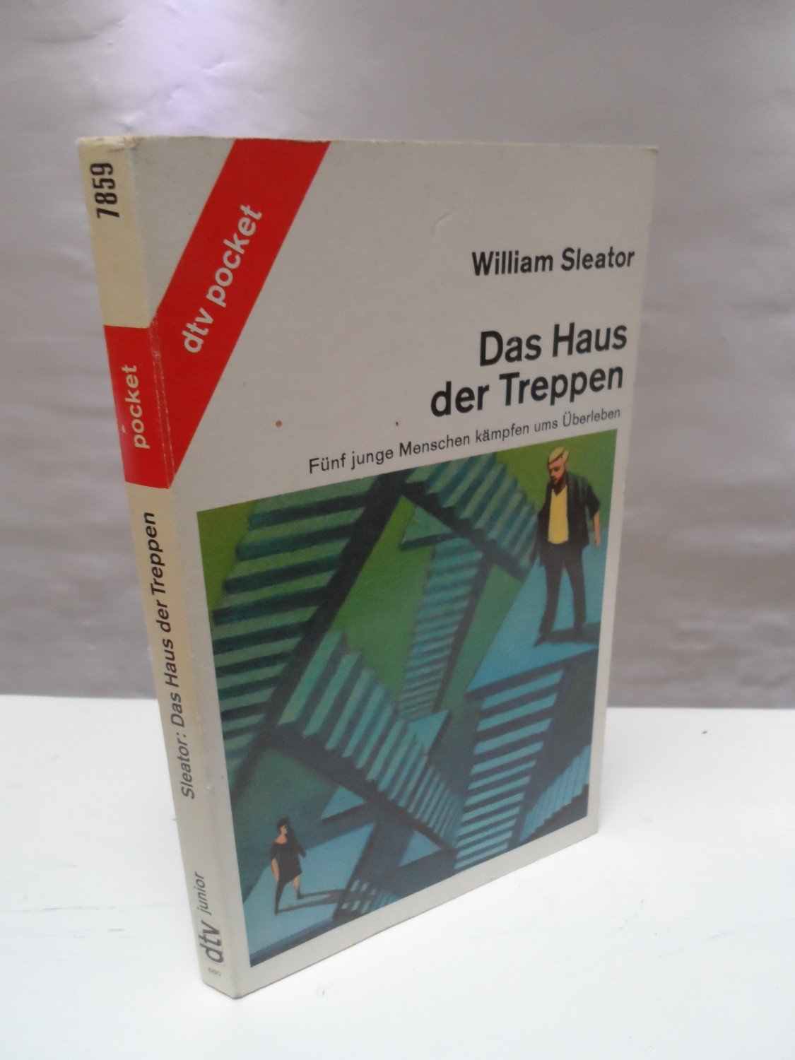 das haus der treppen