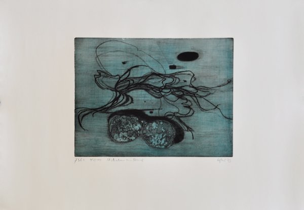 Stilleben Am Strand Otto Eglau Buch Signierte Erstausgabe