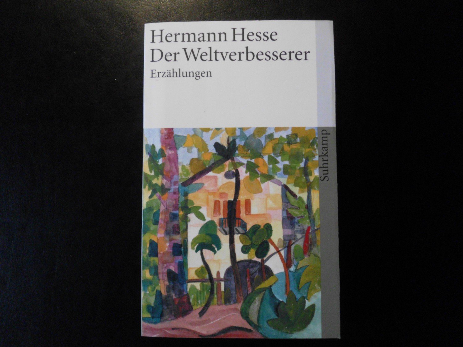 Hesse Weltverbesserer Bücher Gebraucht Antiquarisch - 