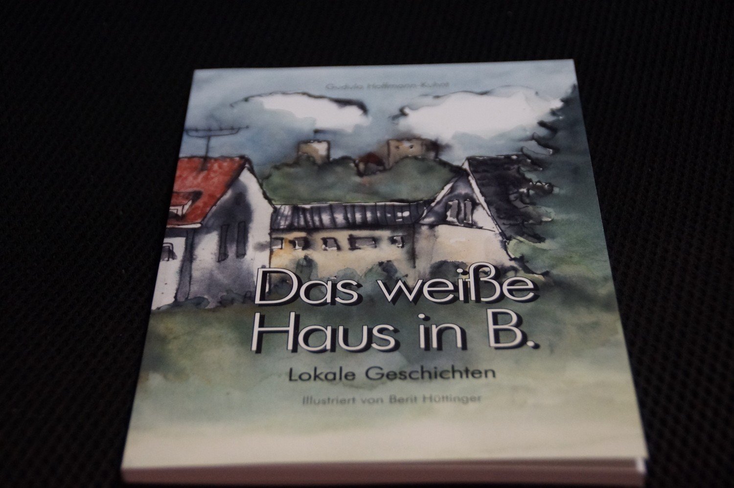 Das Weisse Haus In B Gudula Hoffmann Kuhnt Buch Gebraucht