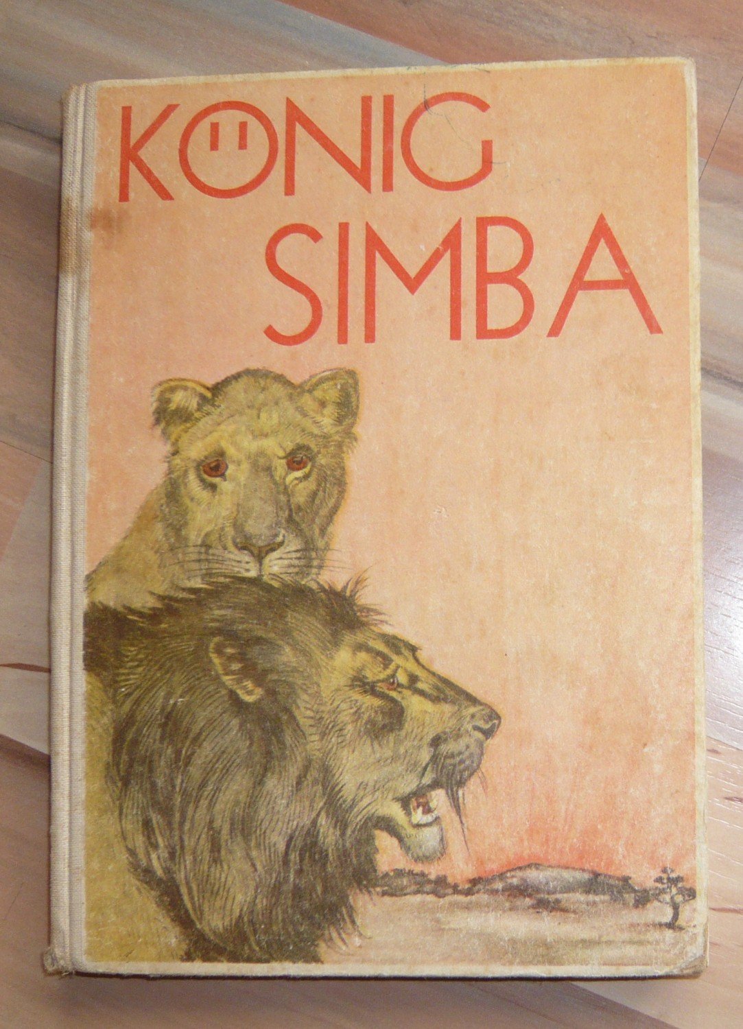 Konig Simba Ein Roman Aus Afrikas Tierwelt Niels Meyn Buch Antiquarisch Kaufen A02igs3k01zzm