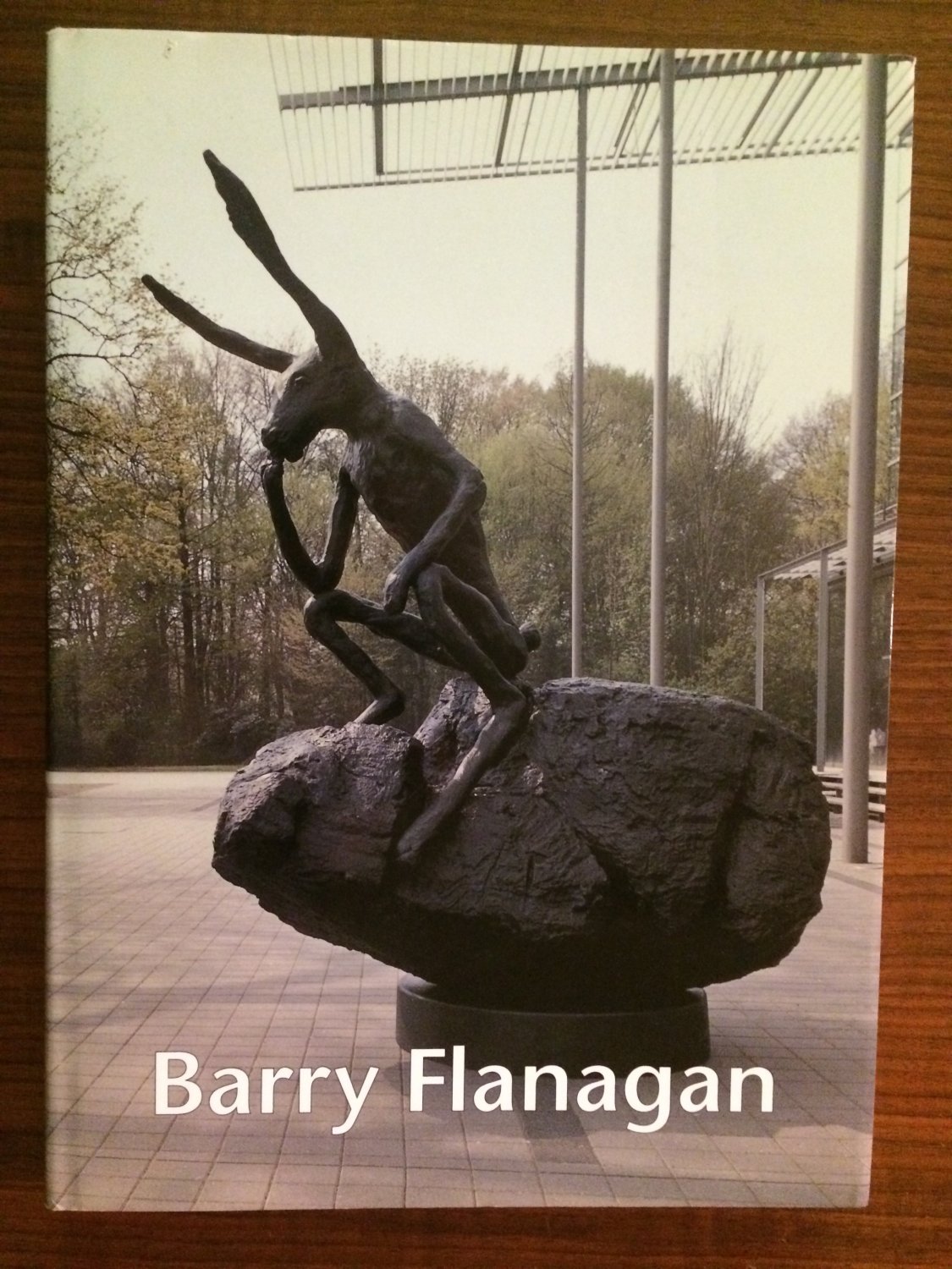 Barry Flanagan Plastik Und Zeichnung Ullrich Ferdinand Schwalm Buch Gebraucht Kaufen A02jg1pl01zzf