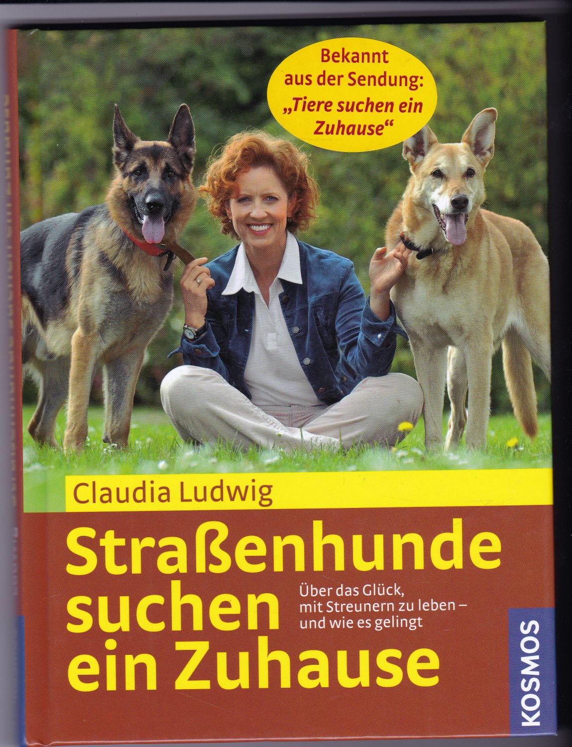Isbn 9783440106372 Strassenhunde Suchen Ein Zuhause Neu