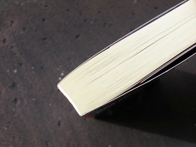 Das Haus Der Verlorenen Seelen Bolt Britta Buch Gebraucht