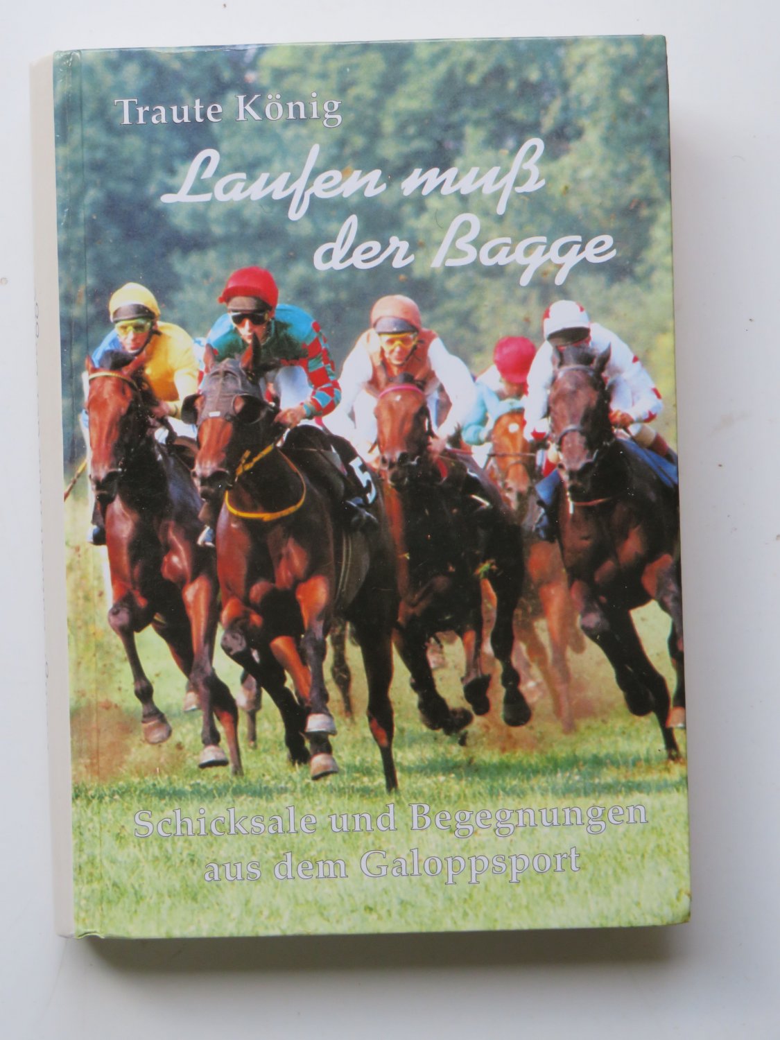 [DOC] Das pferdisch prinzip bodenarbeit respekt vertrauen balance