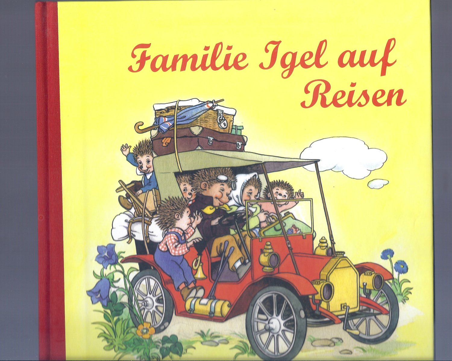 „Familie Igel auf Reisen“ (Anny Hoffmann/Anne Peer/H) Buch gebraucht