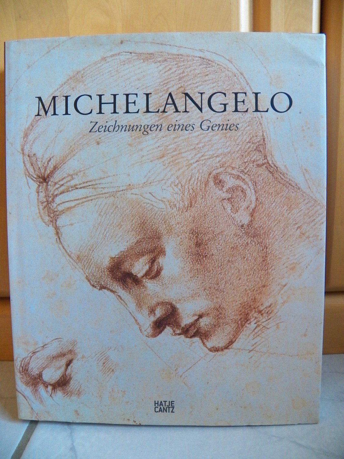 Isbn 9783775725880 Michelangelo Zeichnungen Eines Genies Neu Gebraucht Kaufen