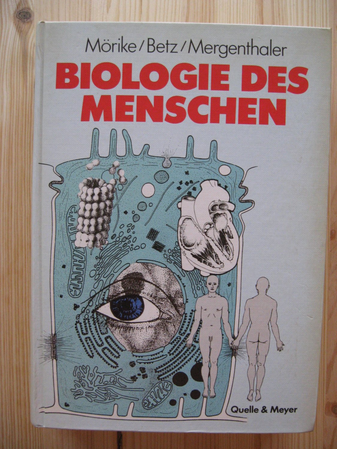 ISBN 3494011532 "Biologie des Menschen" – gebraucht, antiquarisch & neu ...