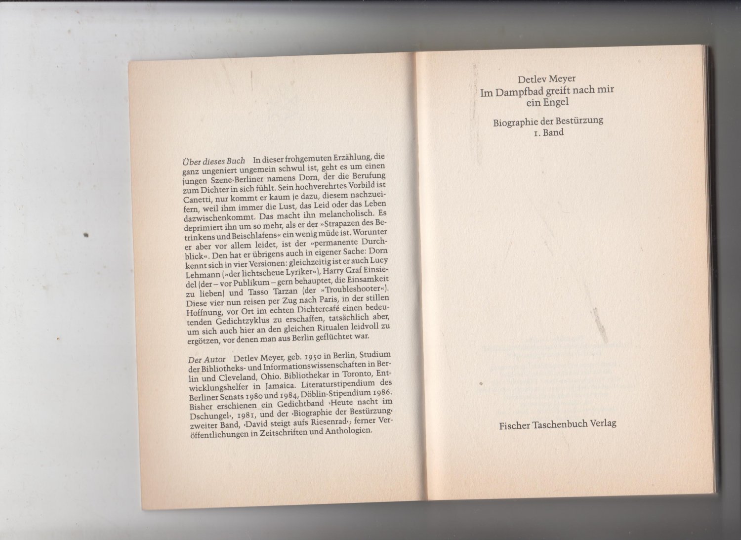 Im Dampfbad Greift Nach Mir Ein Engel Biographie Der Besturzung Detlev Meyer Buch Gebraucht Kaufen A02mwol901zz7
