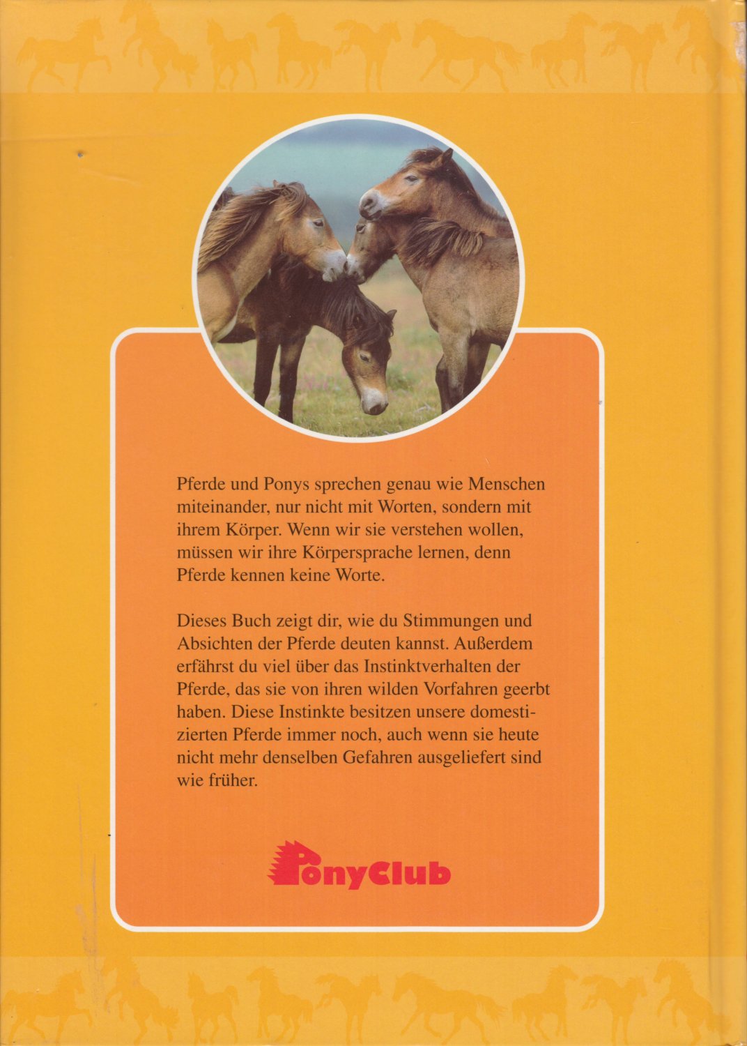 Pferde Richtig Verstehen Pony Club Munchen Buch Gebraucht Kaufen A02mppox01zzc