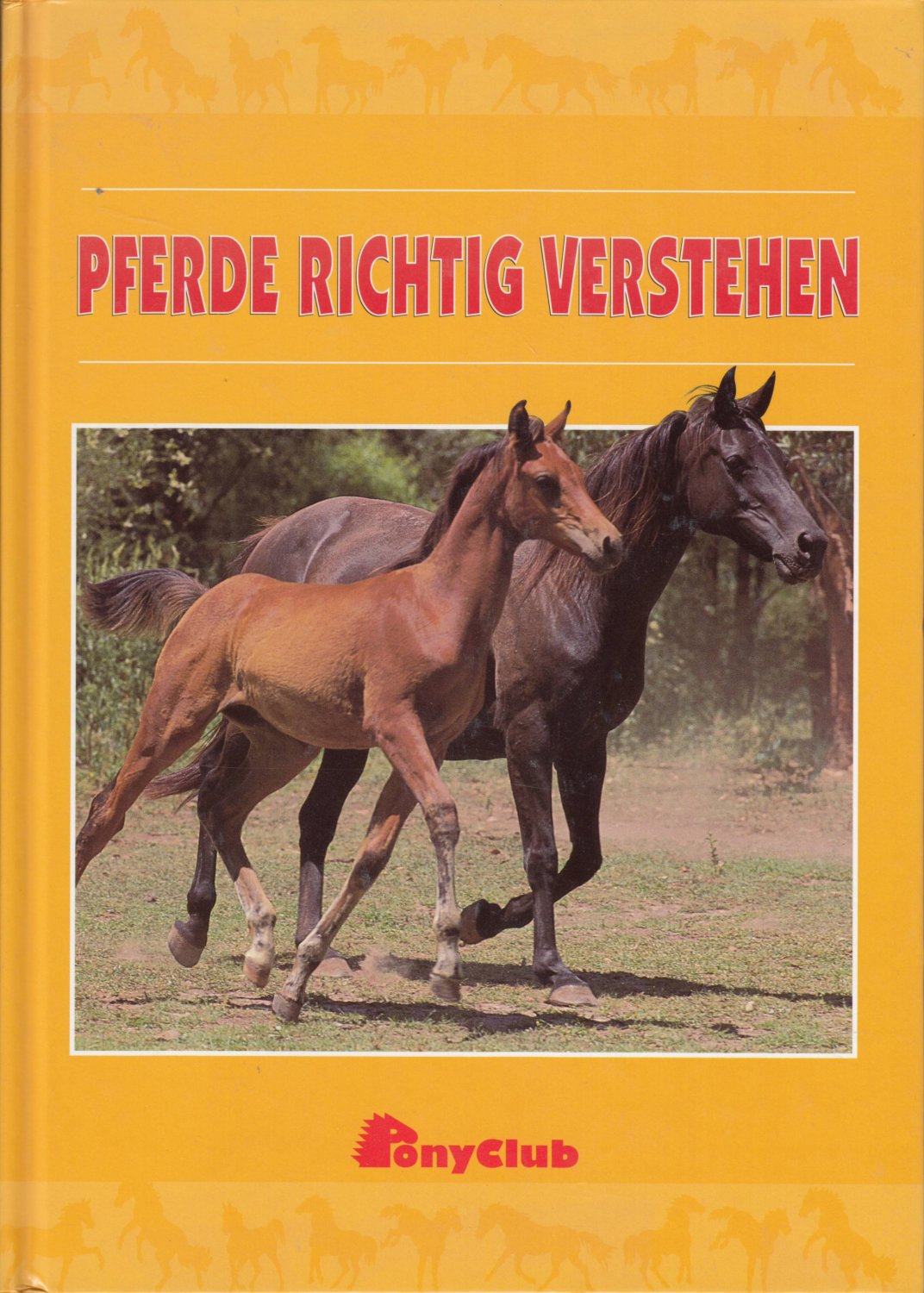 Pferde Richtig Verstehen Pony Club Munchen Buch Gebraucht Kaufen A02mppox01zzc