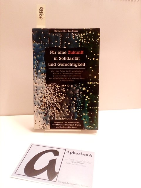 Fur Eine Zukunft In Solidaritat Und Gerechtigkeit Heimbach Steins Marianne Lienkamp Buch Gebraucht Kaufen A02ng78701zzc