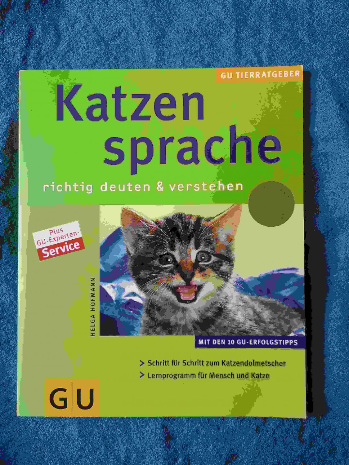 „Katzensprache Richtig Deuten & Verstehen“ – Bücher Gebraucht ...