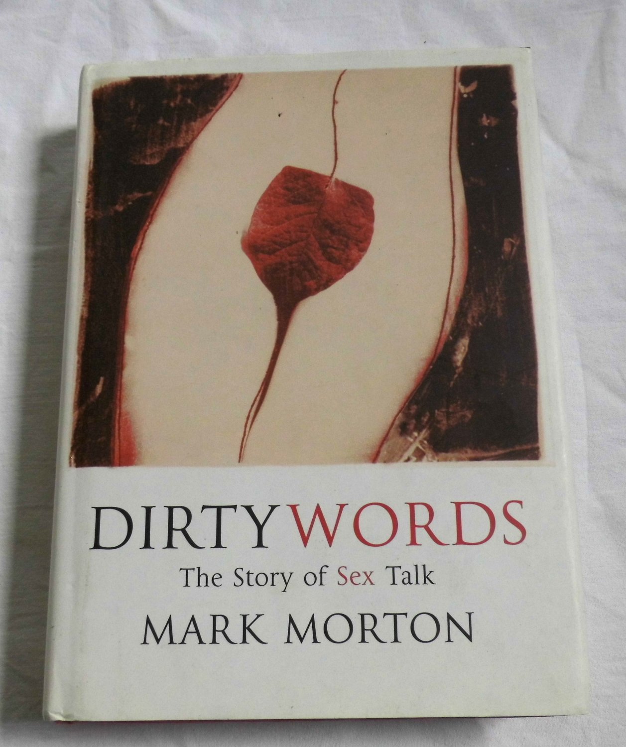 Dirty Words - The Story of Sex Talk“ (Mark Morton) – Buch gebraucht kaufen  – A02nMqx101ZZk