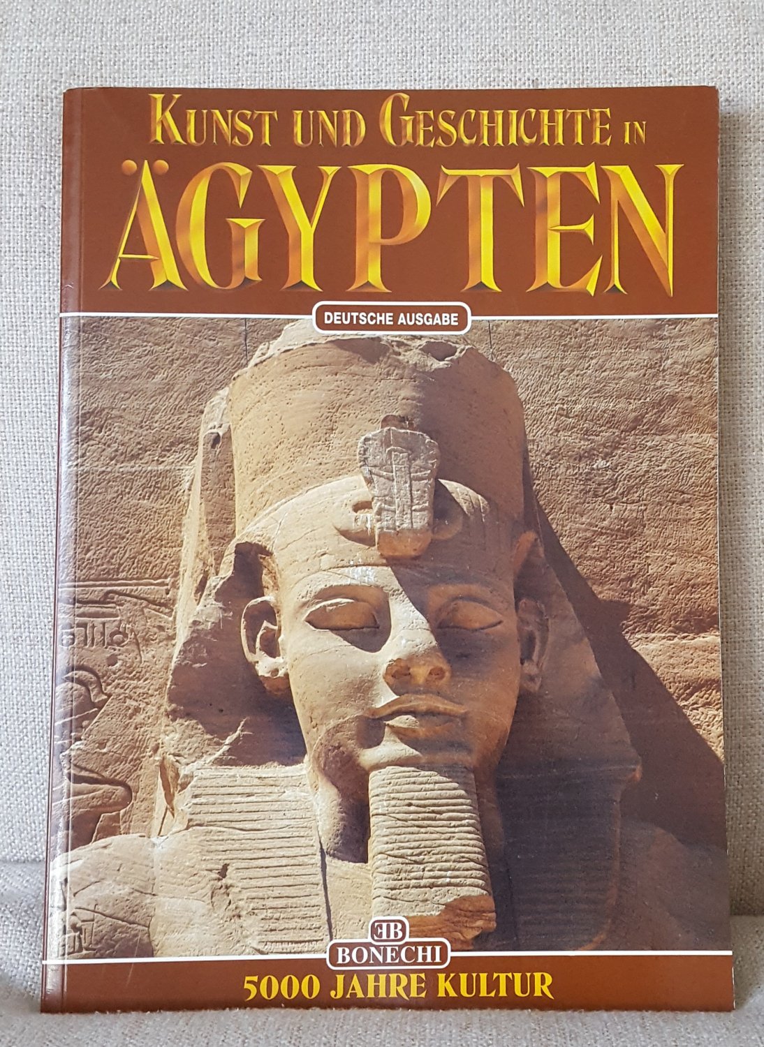 Kunst Und Geschichte In Agypten Carpiceci Alberto Carlo Buch Gebraucht Kaufen A02nx5zg01zzf