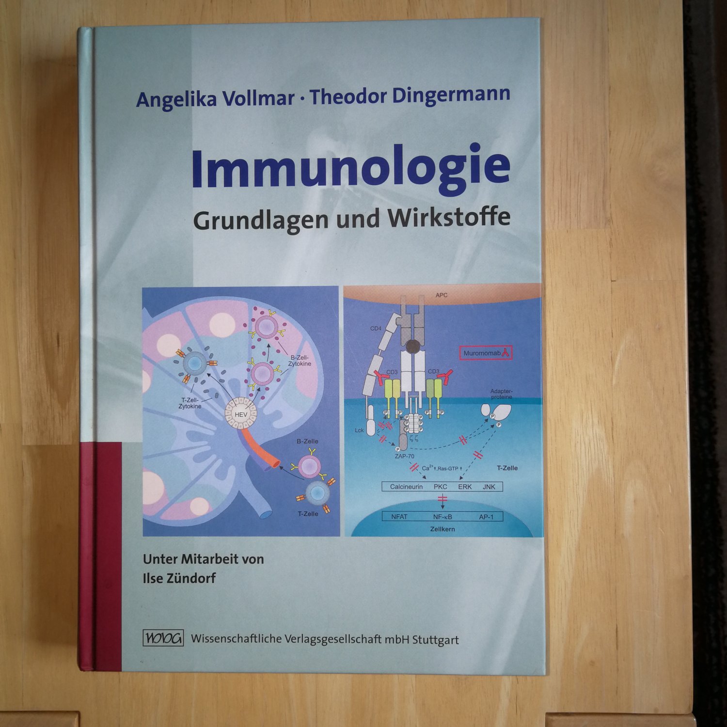 Isbn 9783804721890 Immunologie Grundlagen Und Wirkstoffe Neu Gebraucht Kaufen