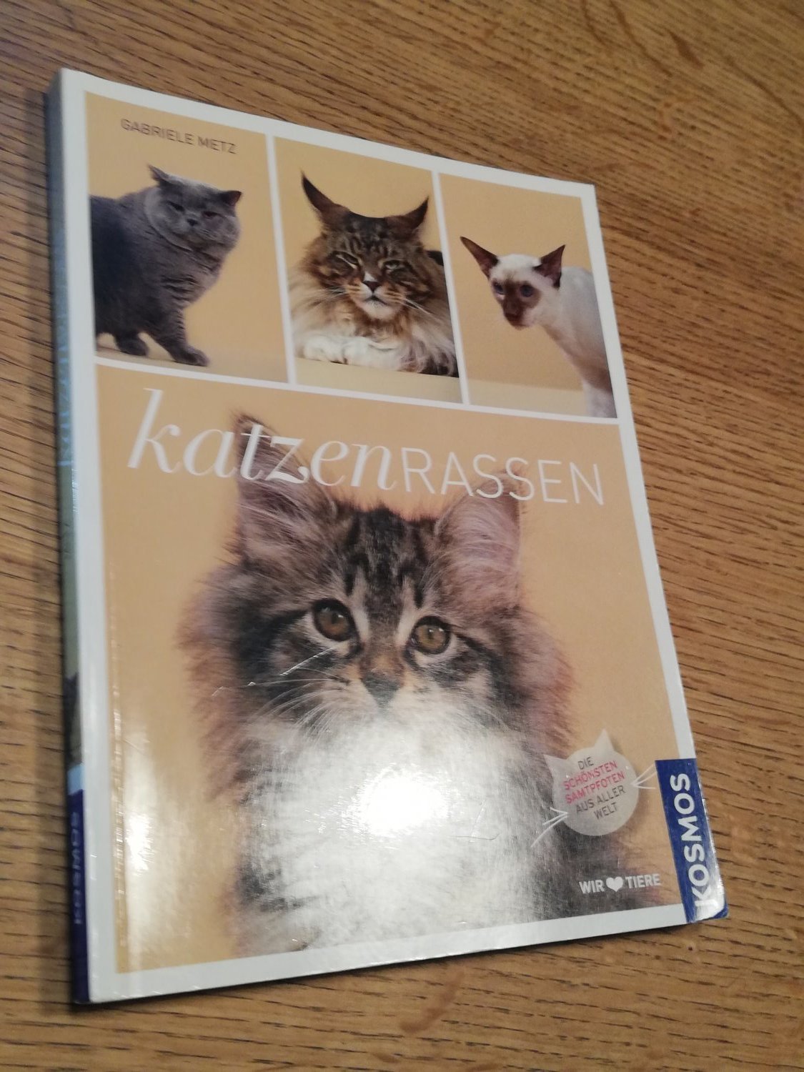 Isbn Katzenrassen Die Schonsten Samtpfoten Aus Aller Welt Neu Gebraucht Kaufen