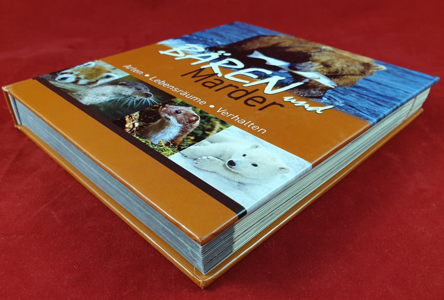 Bären und Marder.“ (Viering, Kerstin / Knaur) – Buch gebraucht