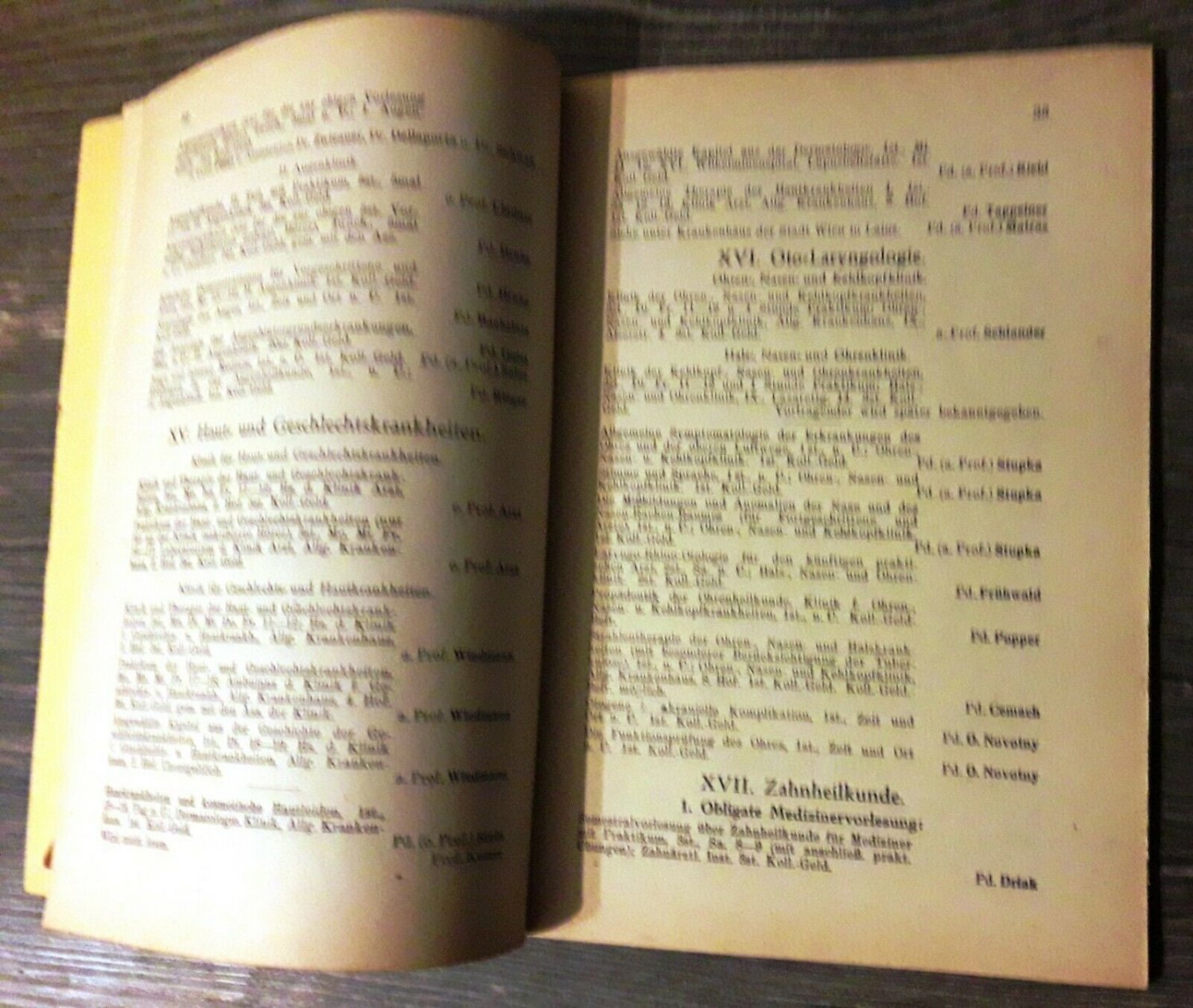 Biologie Uniwien Bachelorarbeit : 9 2010 Ag Kruger