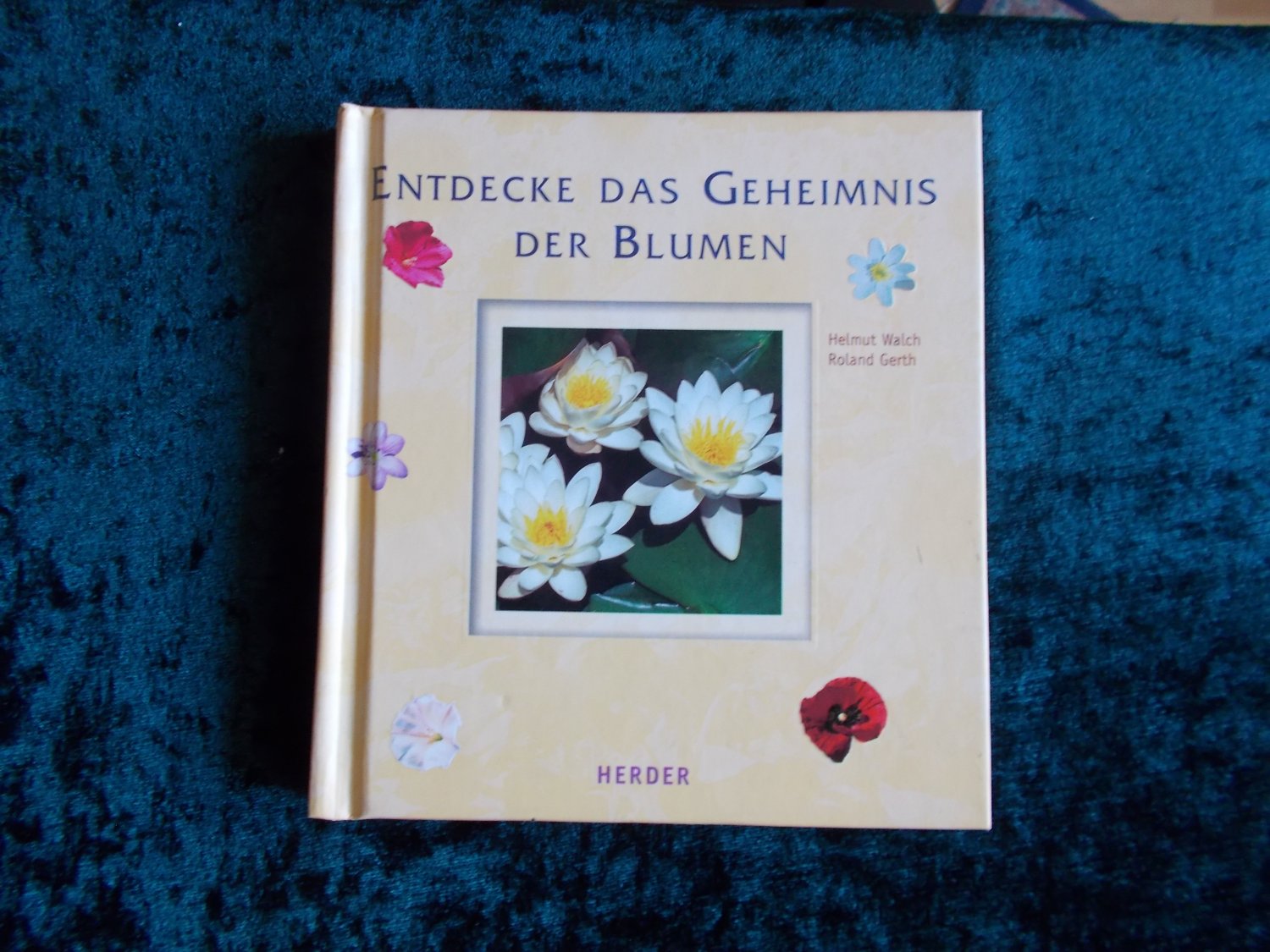 ISBN 345128054X "Was Blumen Vom Leben Wissen" – Gebraucht, Antiquarisch ...