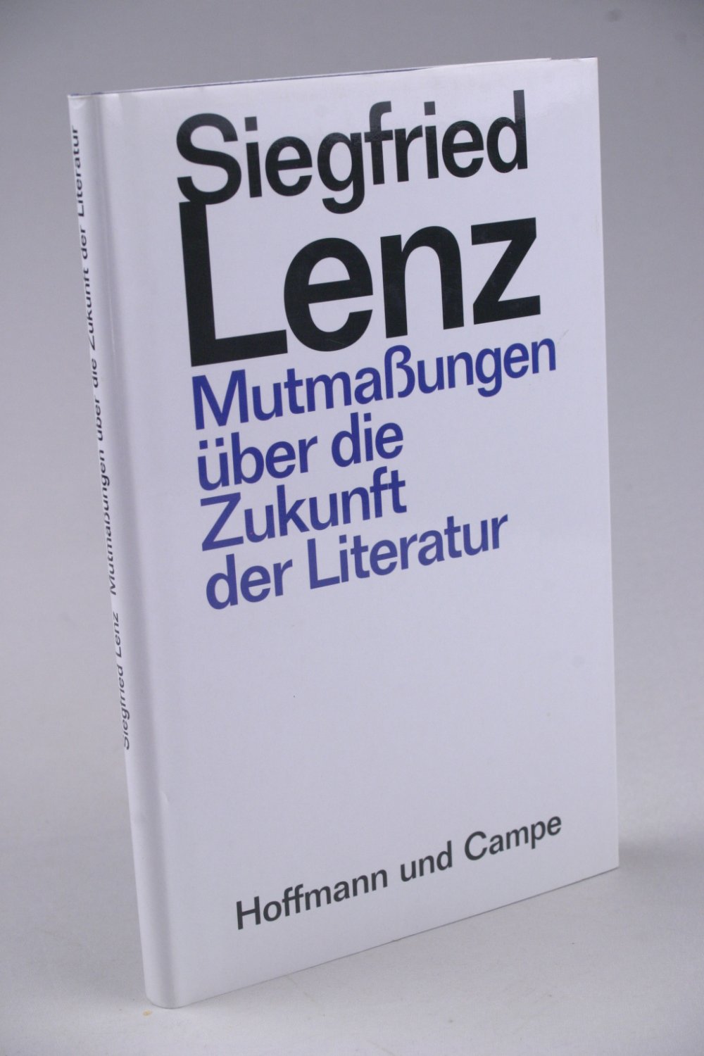 Meine zukunft essay image